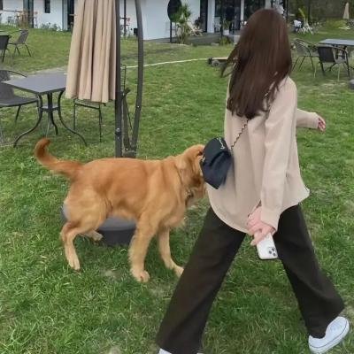 紫色爱心
